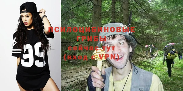 крисы Алексеевка
