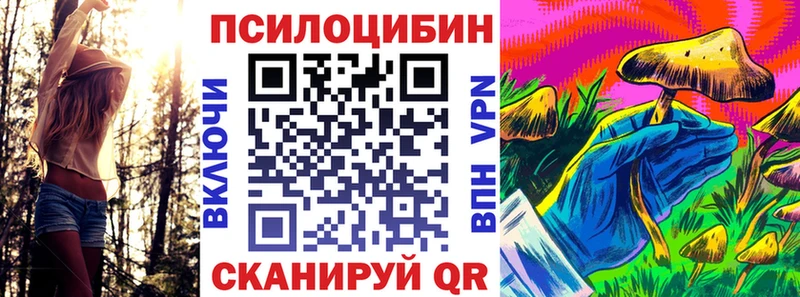 Псилоцибиновые грибы Psilocybe  закладки  Зубцов 